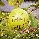 Đinh Thái Học