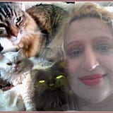 NASIMA
