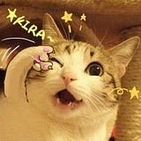 Eris.Y (:3」∠)