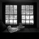 Cynthia Artin