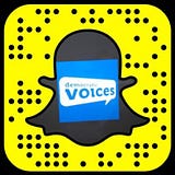 Democratic Voices