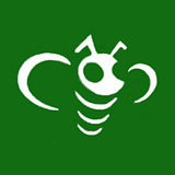 buzztap