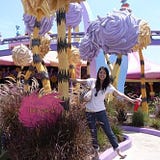 wenhsuan hsu