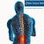 Spine Surgery India