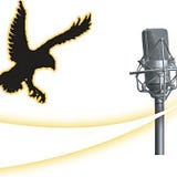 Hawkeyes Mic LLC