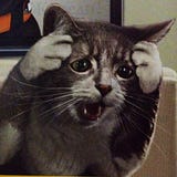 chivonapets