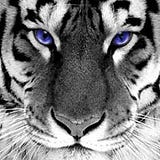 Angela Richburg Robinson