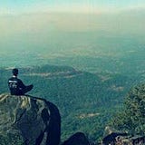 Bhautik Kavadia