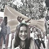 Toey Araya