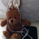 Hasi bloggt