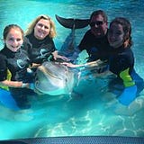 Linda Woodfield-Stern