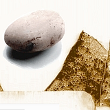 Helvetica Stone