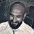 Tariq AlShammari
