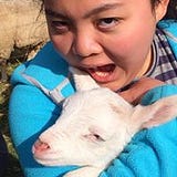 Michelle Wang