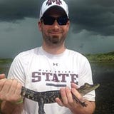 Matt Wray