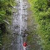 Thomas Buckles McManus-Figus