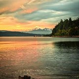 Jackie Spees Rimmer