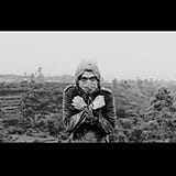 Ahmad Aufar Tahir