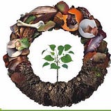 GarbagetoGardenIndia