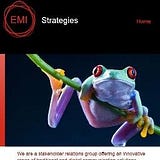 EMI Strategies