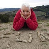 Carol Lynn Pearson