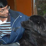 Pradeep CK