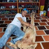 Fausto Hernan Armijos Carrion