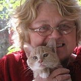 Sally Collins Schenz