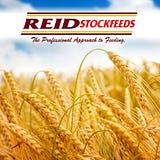 Reid Stockfeeds
