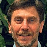 Rand Strauss