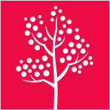 Cherry Tree Visual