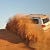 Desert Safari Deals