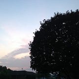 mamaluci