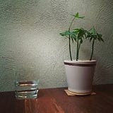 Tougadhu Kalrhisekese