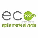 Ecoreport