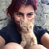 Juju Kushitashvili