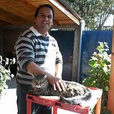 Juan Francisco Torres Conejero