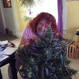 Cannabis University™