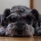 Yuhei
