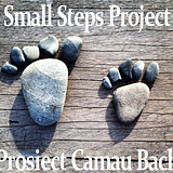 Small Steps Project