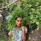 Arya Gouri