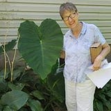 Susan Brearley