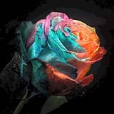 Moinul Hossain