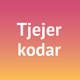 Tjejer kodar