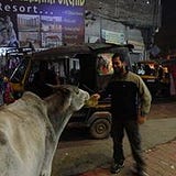 Piyush Goel