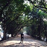 Pavan Yadav