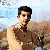 Hamidreza Amiri