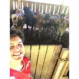 Henrique Chaparro