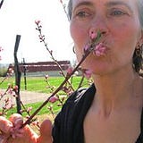 Karryn Olson