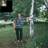 viktorx